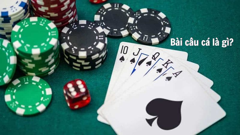 bai cau ca 1 Bài câu cá là gì?