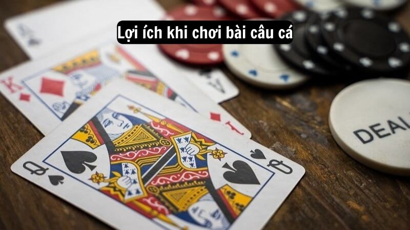 bai cau ca 2 Lợi ích khi chơi bài câu cá