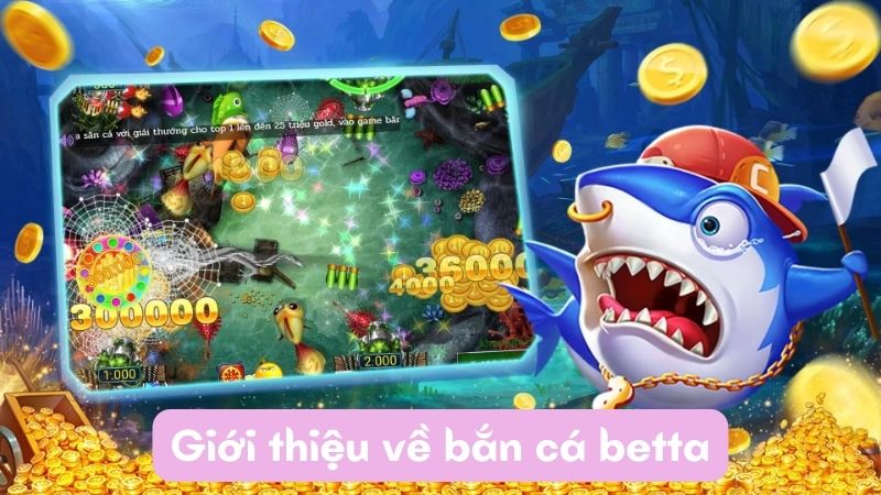 ban ca betta 1 Giới thiệu về bắn cá betta