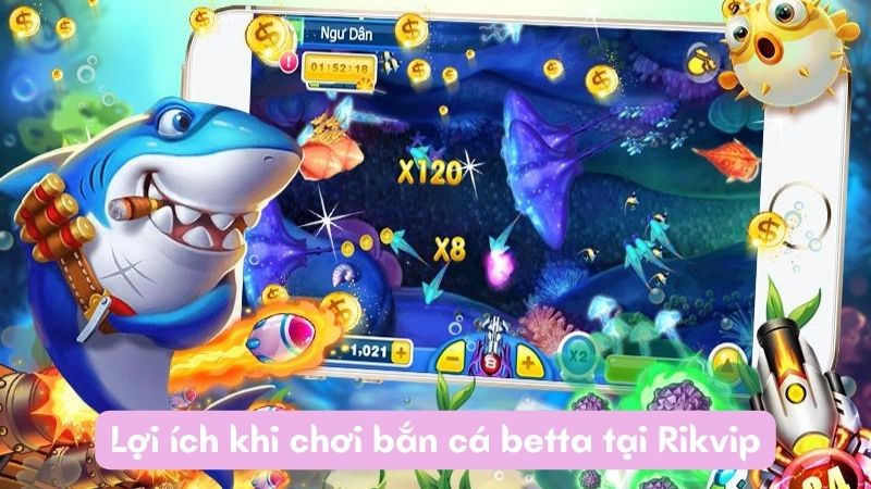 ban ca betta 3 Lợi ích khi chơi bắn cá betta tại Rikvip