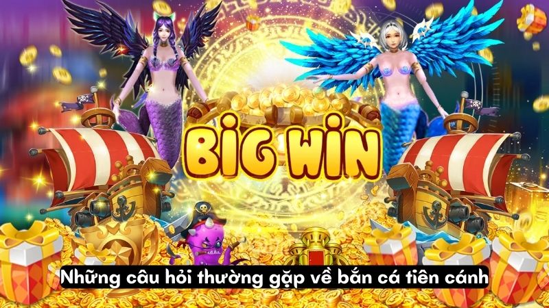 ban ca tien canh 3 Những câu hỏi thường gặp về bắn cá tiên cánh