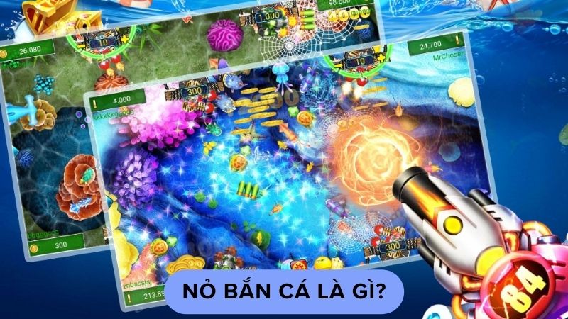 no ban ca 1 Nỏ bắn cá là gì?